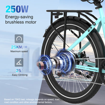 Bicicleta eléctrica RCB G5 para adultos (aplicación RCB)&NBICICLETA ELÉCTRICA FC)