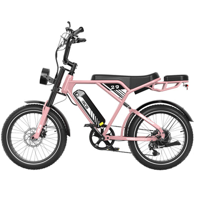Bicicleta eléctrica RCB RK29 para adultos (RCB E BIKE)